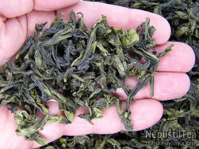 P1010007 NepustilTea.cz thai green oolong tea a 01