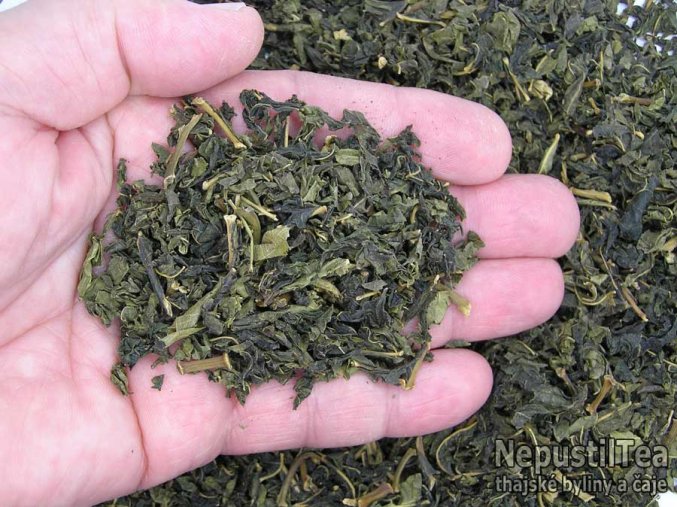 P1010258 NepustilTea.cz mullberry green tea morusovnik a 01