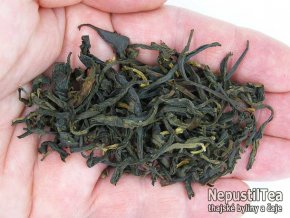 P1010010 NepustlTea.cz vietnamese hagiang black tea nt a 016