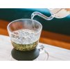 tea dripper largo 350 ml hario 03