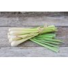 How to Grow Lemongrass