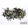 P1010013 NepustilTea.cz Thai Lahu White Tea Moonlight a 011