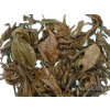 P1010559 NepustilTea.cz thai lahu black tea a 031
