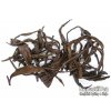P1010440 NepustilTea.cz Thai black wild tea tips a 03