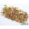 P1010042 NepustilTea.cz lemongrass tea a 0111