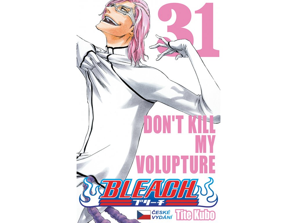 Bleach cover image