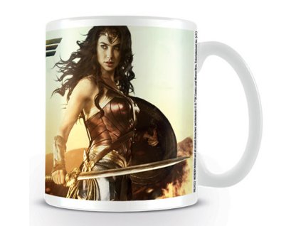 wonder woman fierce i48027