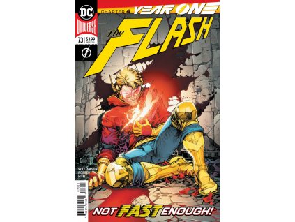 Flash #073 (734)