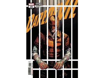 Daredevil #637 (25)