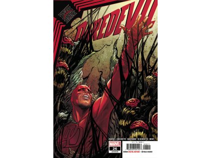 Daredevil #638 (26)