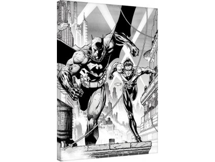 Obraz: Batman and Nightwing