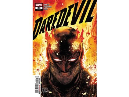 Daredevil #645 (33)