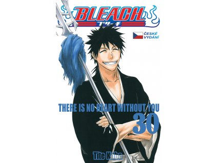 Bleach #30: There Is No Heart Without You