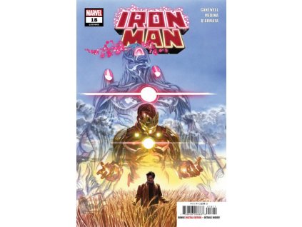 Iron Man #643 (18)