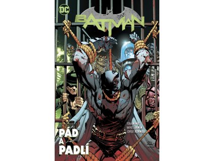 Batman #11: Pád a padlí