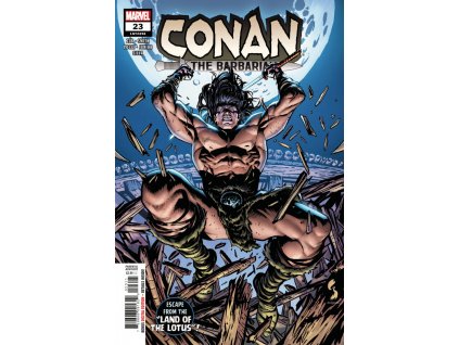 Conan The Barbarian #298 (23)