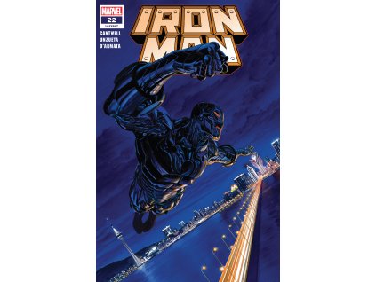Iron Man #647 (22)