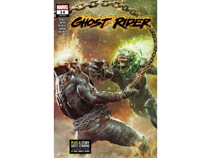 Ghost Rider #257 (14)