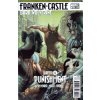 Punisher (Franken-Castle) #020