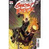Ghost Rider #238 (2)