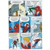 Marvel Origins #001: Spider-man 1 (1962)