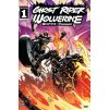 Ghost Rider / Wolverine: Weapons of Vengeance - Alpha #001