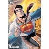 Superman #017 /variant Cover B Tony S. Daniel /