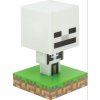 minecraft skeleton 1