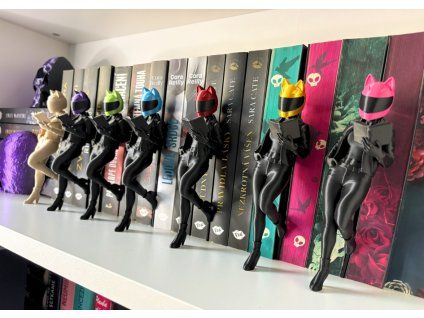 Biker Reader (She Edition) (~17cm)