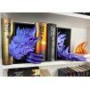 Book Nook - Guardian of the Tomes - Purple Galaxy BASIC