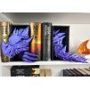 Book Nook - Guardian of the Tomes - Purple Galaxy BASIC