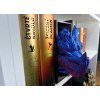 Book Nook - Guardian of the Tomes - Blue/Purple PREMIUM