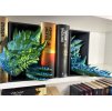 Book Nook - Set Guardian of the Tomes - Green/Blue PREMIUM