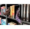 Book Nook - Set Guardian of the Tomes - Purple PREMIUM