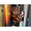 Book Nook - Guardian of the Tomes - Bronzová (Ručně malovaný)