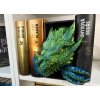 Book Nook - Guardian of the Tomes - Green/Blue PREMIUM