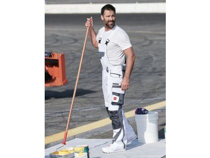 strauss emotion malíř