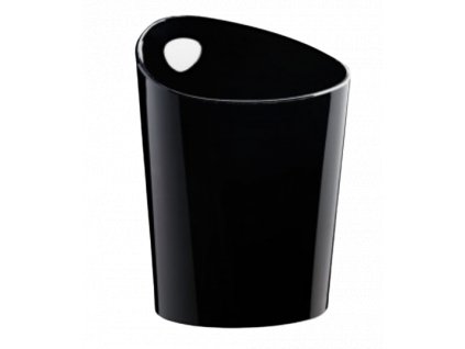 chladic beautiful cat removebg preview