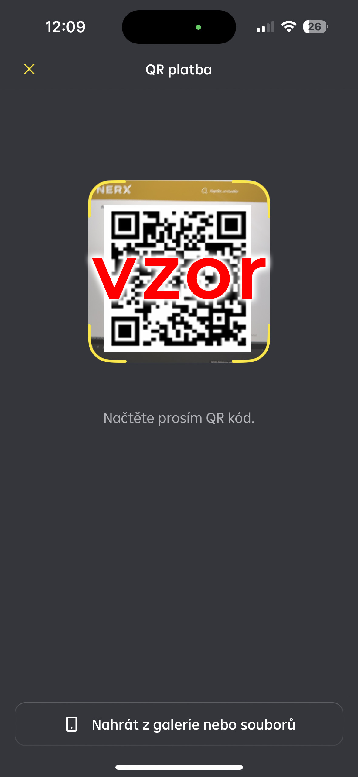 nacistQR