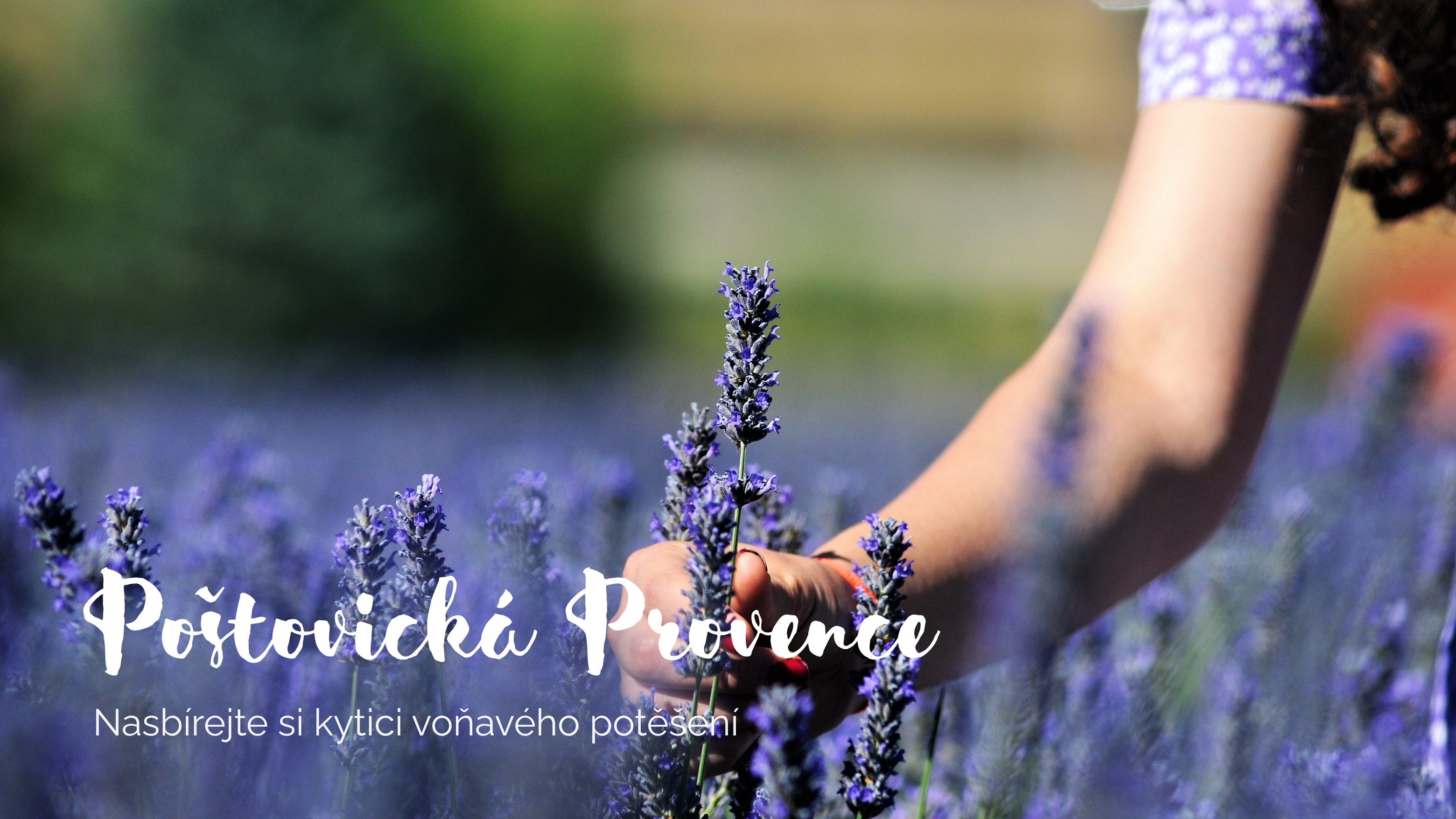 Poštovická Provence