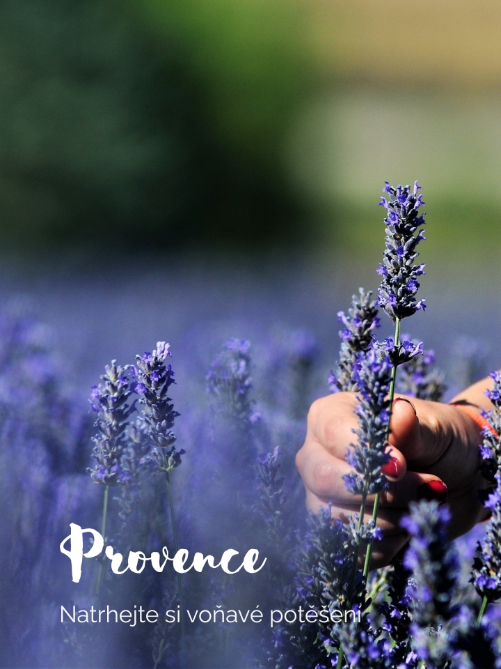 Provence