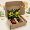 Nesfarma Web Picture