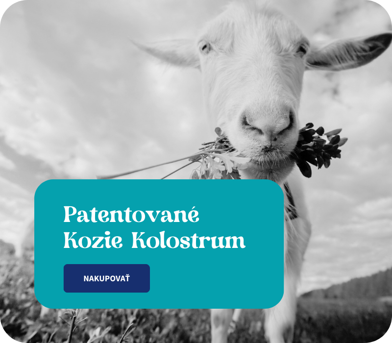 Nesmrtelny banner mobil