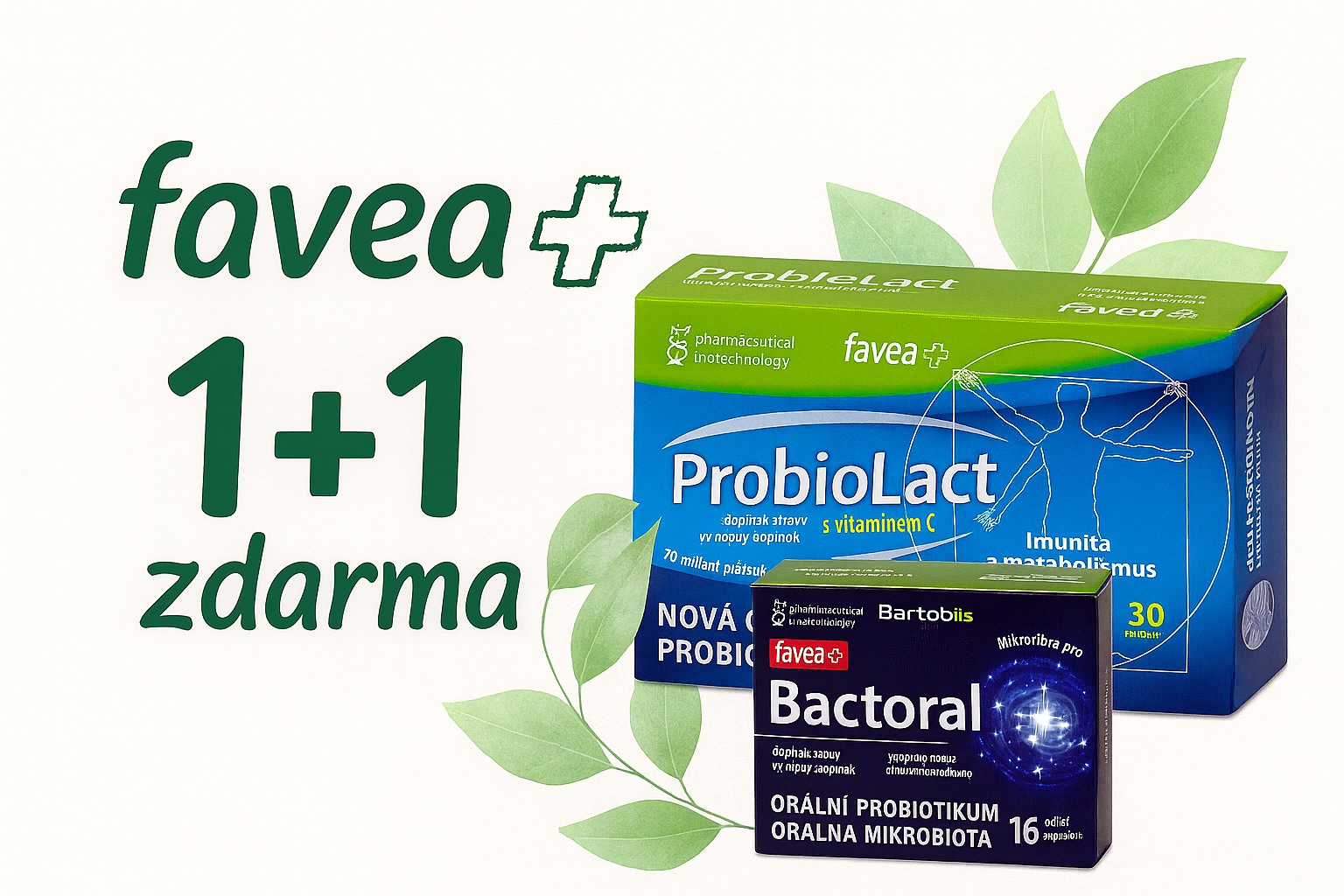 Favea den na Nestonej.cz – speciální akce 1+1 zdarma pouze 15. 9.