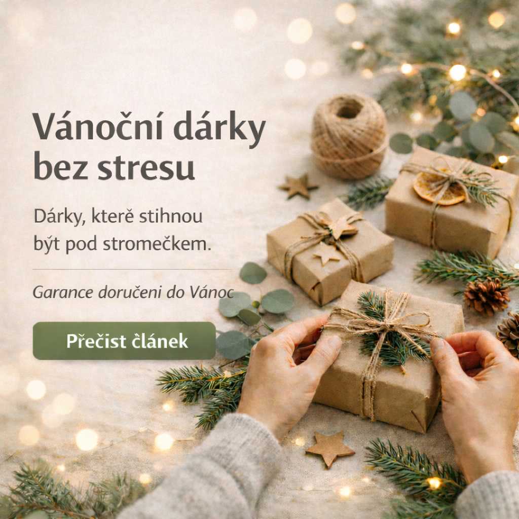 Garance doručení do Vánoc