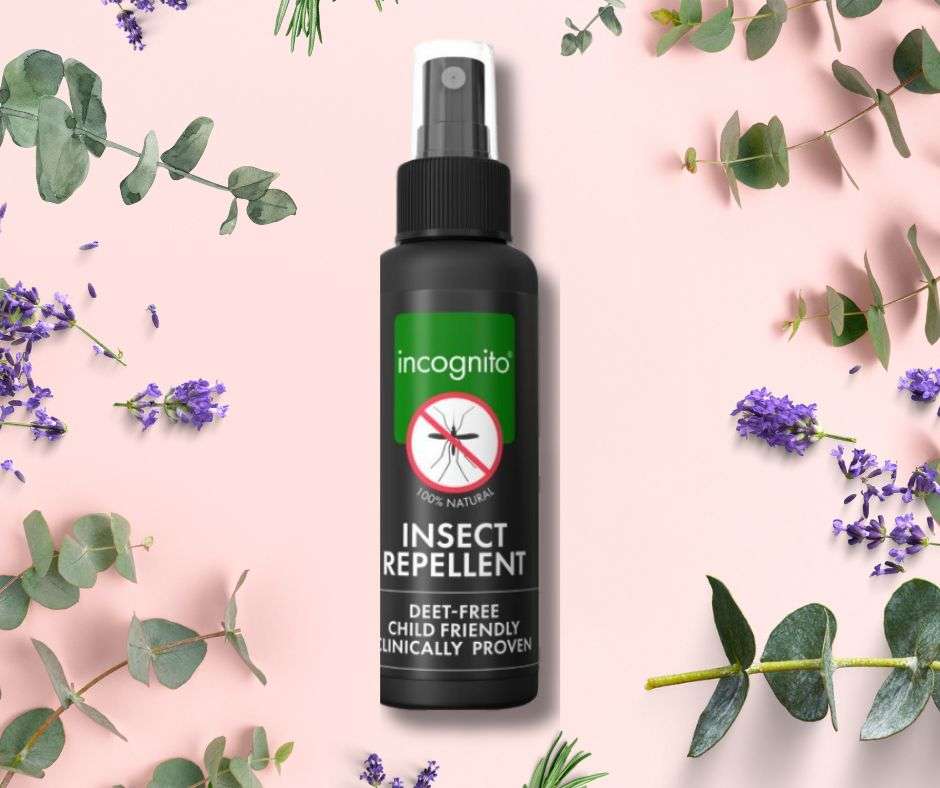 Hmyz vs. bylinky: Přírodní repelenty jako neviditelné brnění