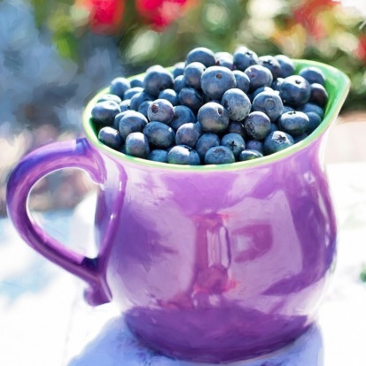 Recept: Borůvková marmeláda