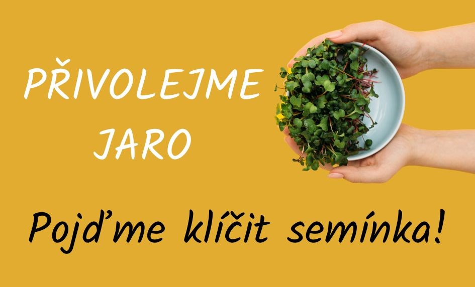 Přivolejme jaro! Pojďme klíčit semínka