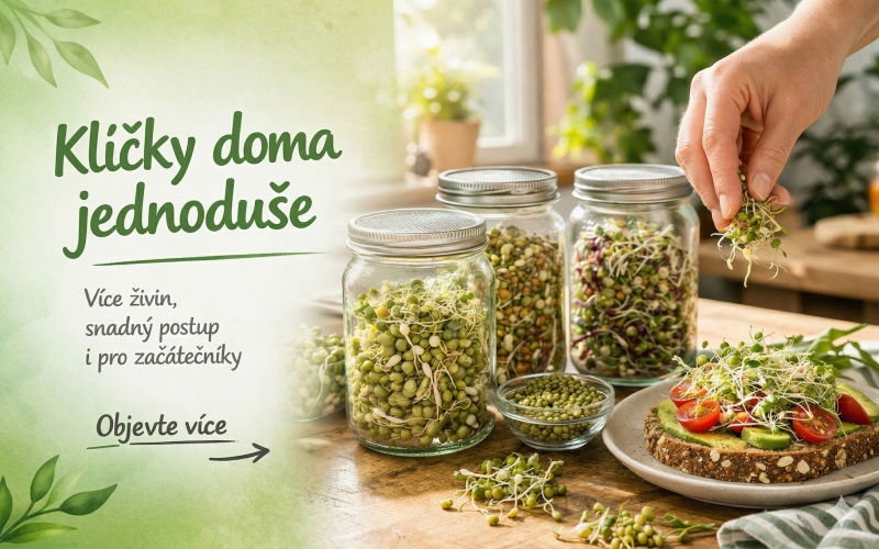 Přivolejme jaro! Pojďme klíčit semínka