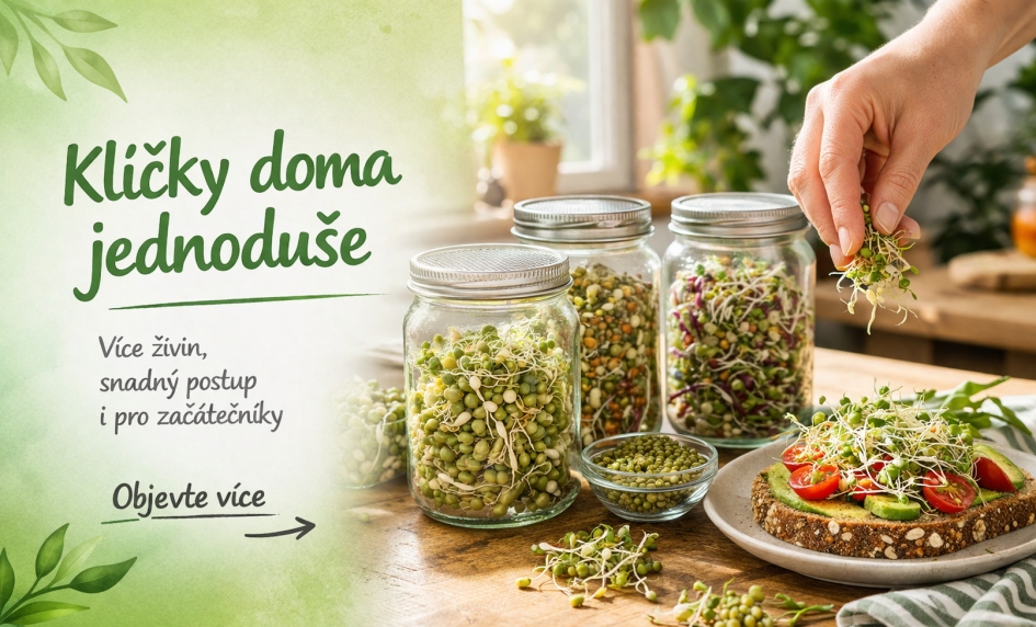 Přivolejme jaro! Pojďme klíčit semínka